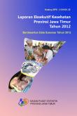 Executive Health Report Of Jawa Timur Province 2012