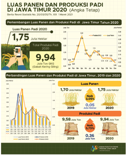 In 2020, Broad Rice Harvest Of 1.75 Million Hectares With Production Amounting To 9.94 Million Tons Of MPD. If Converted Into Rice, Rice Production On 2020 To Reach 5.71 Million Tons.