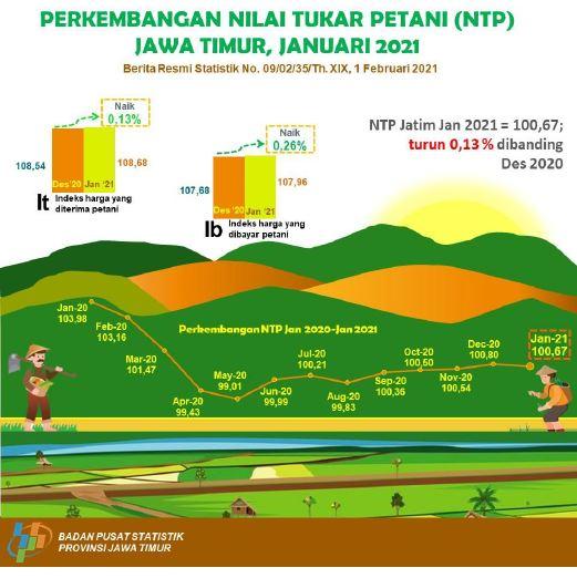 East Java Farmers Exchange Rate (NTP) in January 2021 decreased 0.13 percent.