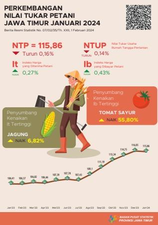 The Farmer's Exchange Rate (NTP) for East Java Province in January 2024 was 115.86 or down 0.16 percent