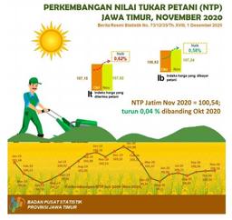 Nilai Tukar Petani (NTP) Jawa Timur Bulan November 2020 Naik 0,04 Persen.