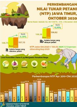 Nilai Tukar Petani (NTP) Jawa Timur Bulan Oktober 2020 Naik 0,13 Persen.