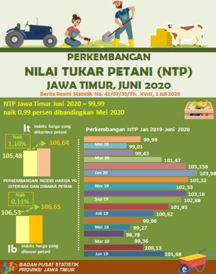 Nilai Tukar Petani (NTP) Jawa Timur Bulan Juni 2020 naik sebesar 0,99 persen