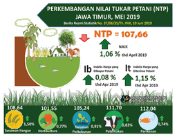 Perkembangan Nilai Tukar Petani Jawa Timur Mei 2019