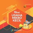 Booklet Sensus Ekonomi 2016 Potensi Usaha Mikro Kecil